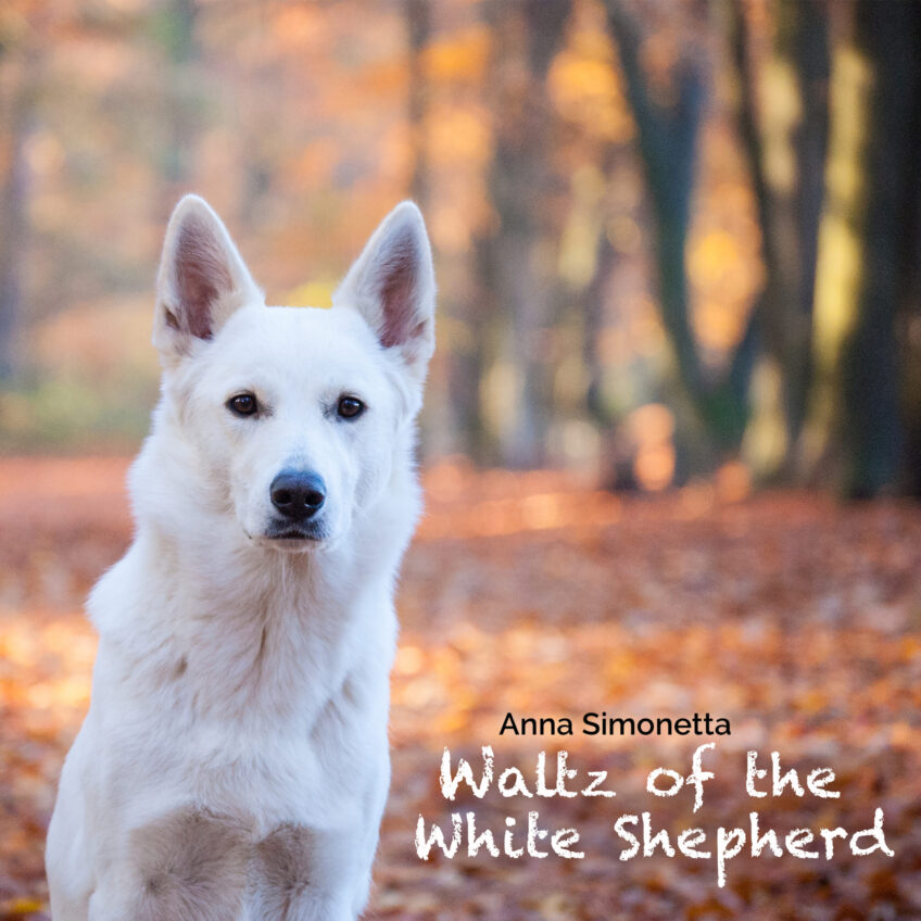 New single Waltz of the White Shepherd