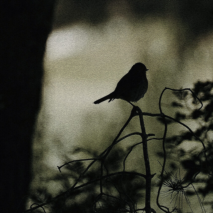 New single “Watching Out”